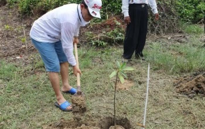 한전, 미얀마 맹그로브 조림사업을 통해 온실가스 줄인다