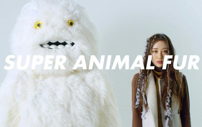 이노션, 이색 동물 보호 캠페인 ‘슈퍼 애니멀 퍼’ 영상 공개