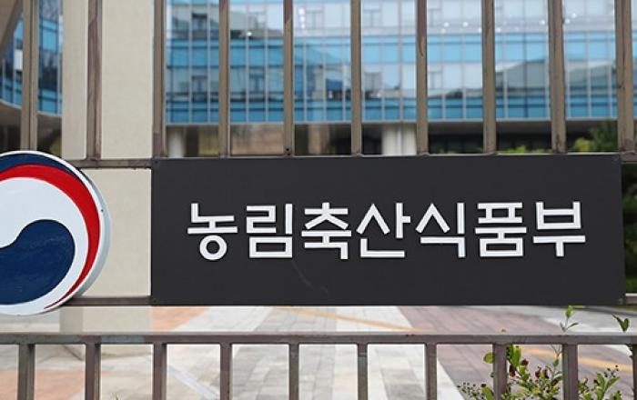 논에 가루쌀 심으면 지원금...'전략작물직불제' 본격 시행