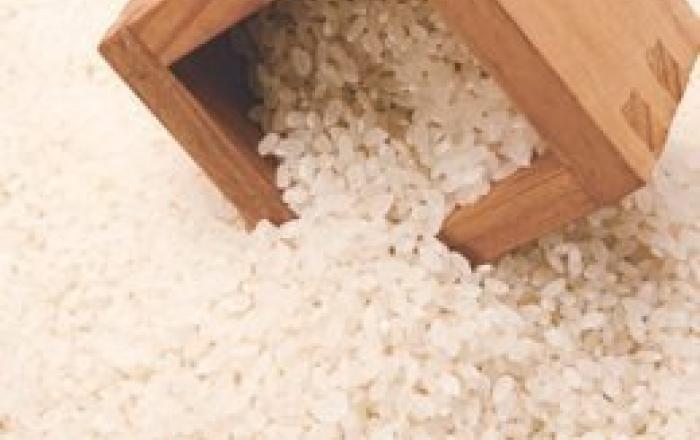 국산 쌀보리 캐나다로 수출...검역협상 타결