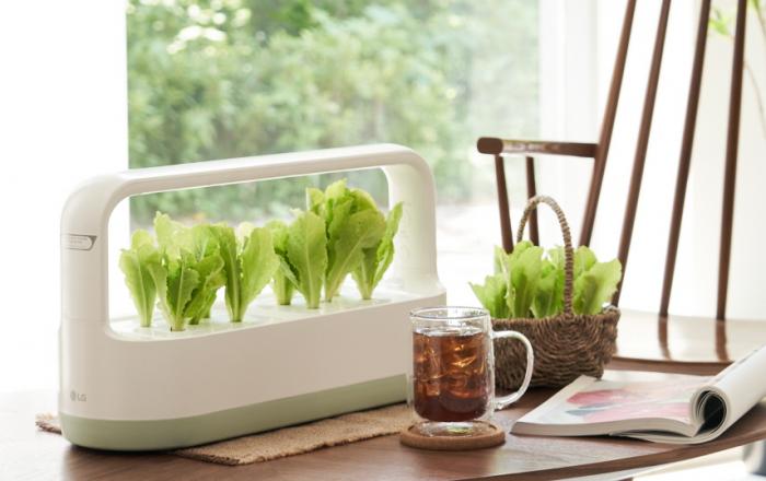 식물생활가전 LG 틔운, 옮겨 심을 수 있는 ‘모듈형 씨앗키트’ 출시