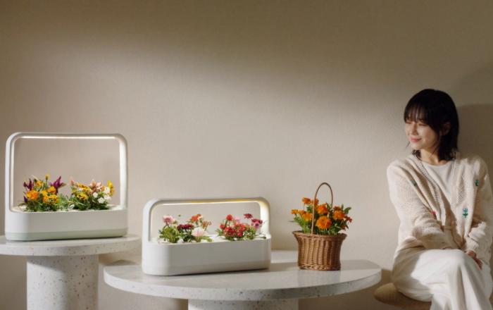 ‘나만의 꽃다발 만드세요’ LG 틔운 미니, 원하는 씨앗 심고 기른다