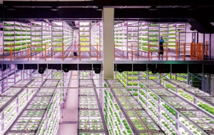 지역전략사업 그린벨트 해제총량 예외 인정…‘토지이용 규제 완화’