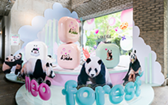 라네즈 X 바오패밀리 네오 쿠션, 네오 파우더 출시