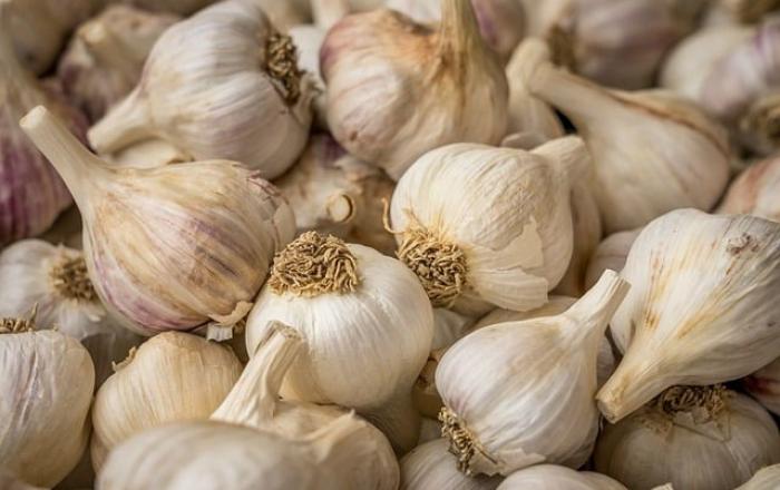 정부, 여름철 물가 불안요인에 선제 대응…마늘·배추 등 수급관리