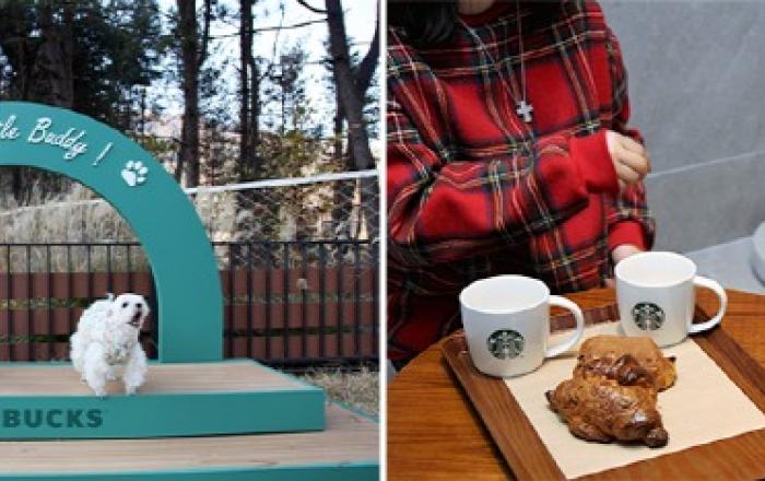 스타벅스 ‘더북한강R점’, 반려동물 규제샌드박스 승인 2호 매장으로 재단장