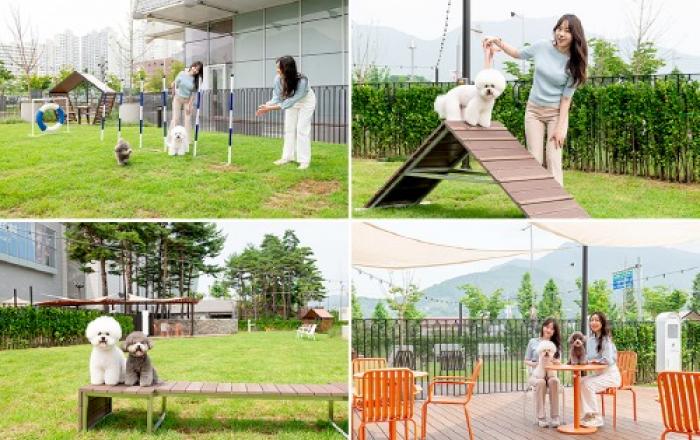 스타필드 하남, 반려견 야외 놀이터 ‘펫파크’ 전격 오픈