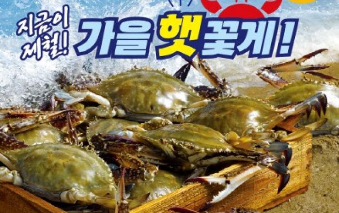 “가을 꽃게가 돌아왔다!” 이마트, 가을 햇꽃게 최대 50% 할인 판매 개시