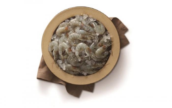 이마트, ‘국산 가을 생(生)새우’ 잔치 선보여