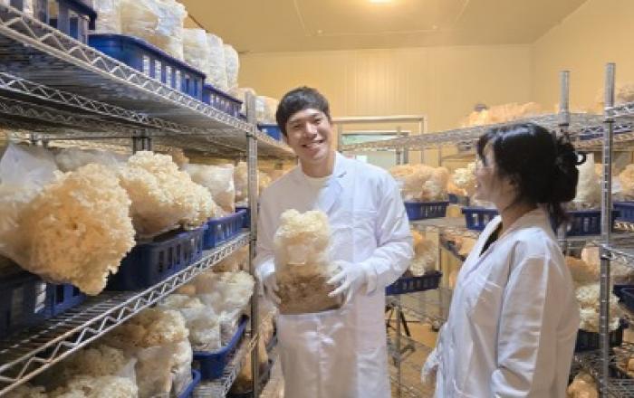 제주 유수암더팜, 꽃송이버섯 재배 첫 성공… 제주 농업에 새로운 활력 기대