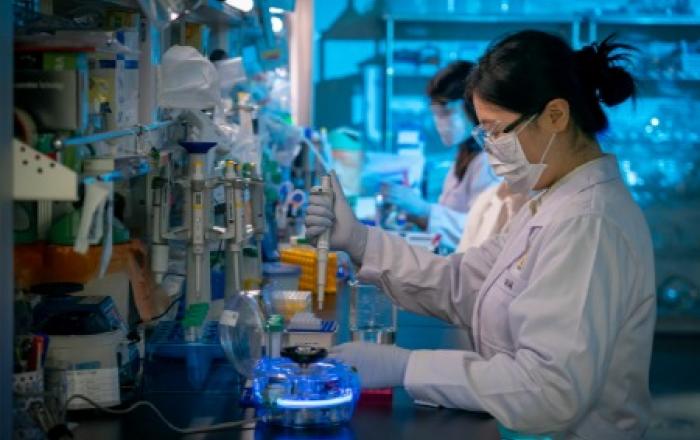 대웅제약, 글로벌 첫 ‘폐섬유증 신약’ 개발 순항… 3차 IDMC서 안전성 재확인