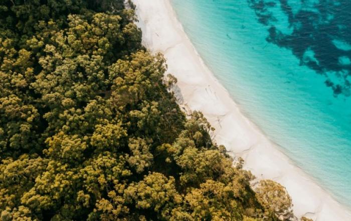 호주 뉴사우스웨일즈주 관광청, 뉴사우스웨일즈 여름 해변 가이드 소개