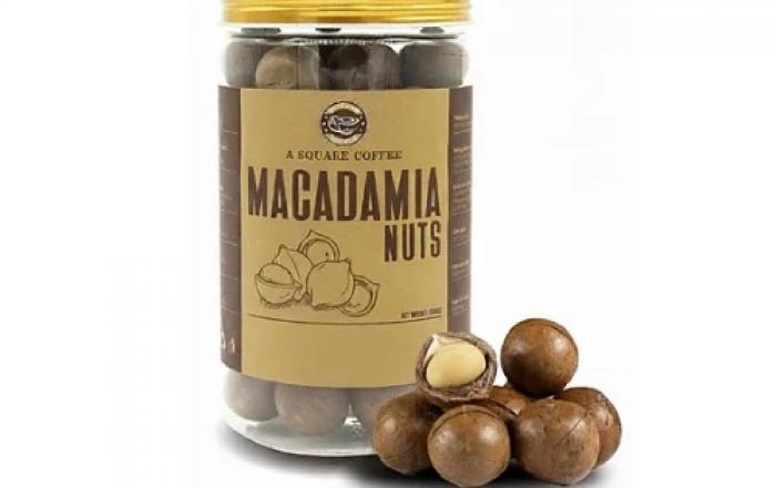 MG커머스, 신제품 ‘통 마카다미아 넛츠’ 출시… 껍질째 로스팅으로 완성한 깊은 풍미