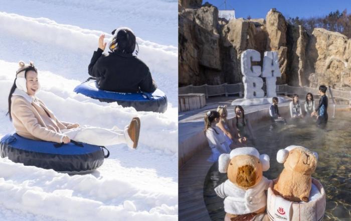 신나게 눈썰매 즐기고, 따끈한 스파에 풍덩! 에버랜드와 캐비를 하나로! ‘에버 투 캐비’ 새롭게 선보여