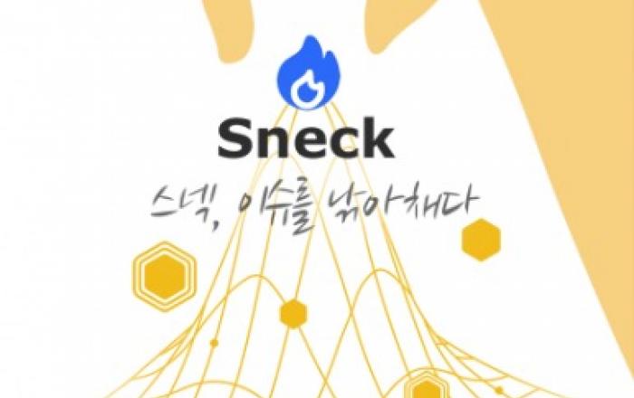 AI 응용 솔루션 플랫폼 스넥Ai, 유료 서비스 공식 론칭