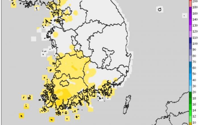 설 연휴 성묘객 실화 주의보... 산불 20% 이 기간 집중