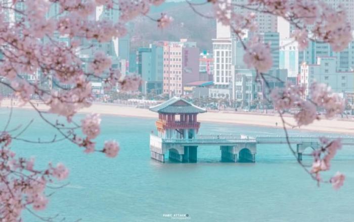 라한호텔 포항, 봄 맞아 드라마 촬영지 잇는 여행 코스 제안