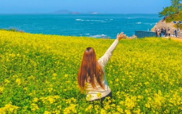 사람보다 꽃을 더 많이 만난다… 승우여행사, 국내 봄꽃 트레킹 여행 추천