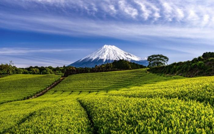모두투어, 부산발 일본 소도시 라인업 강화… 시즈오카·다카마쓰 신상품 선보여