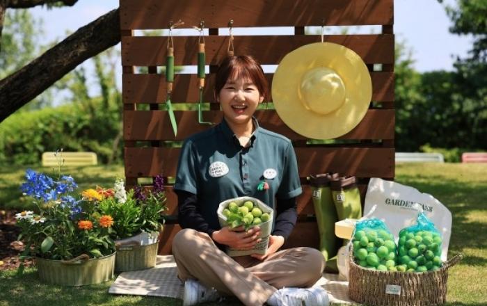 에버랜드, 초여름 ‘매실따기’ 이색 체험 진행