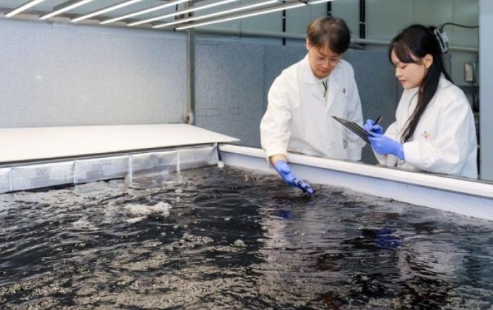 CJ제일제당, 충남 천안에 '육상양식 김' 상업화 시설 착공…사계절 생산 시대 연다